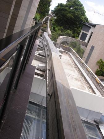 SDC11731.JPG